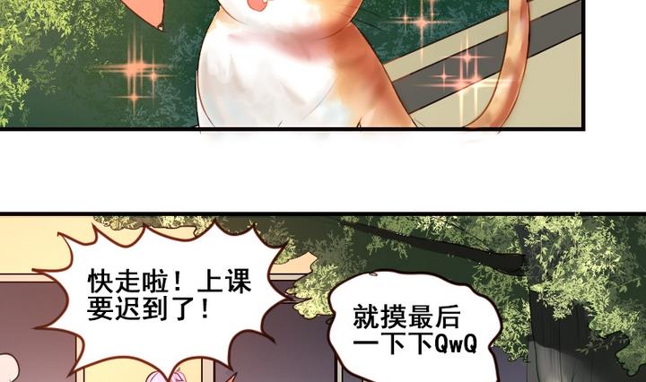 第20话 这是老虎不是猫啊！-第20话