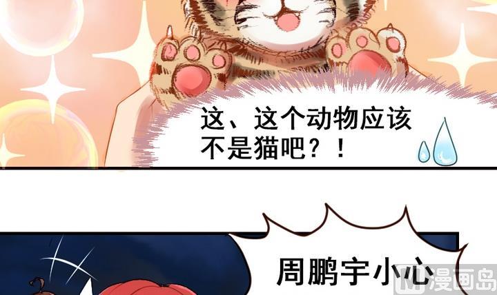 第20话 这是老虎不是猫啊！-第20话