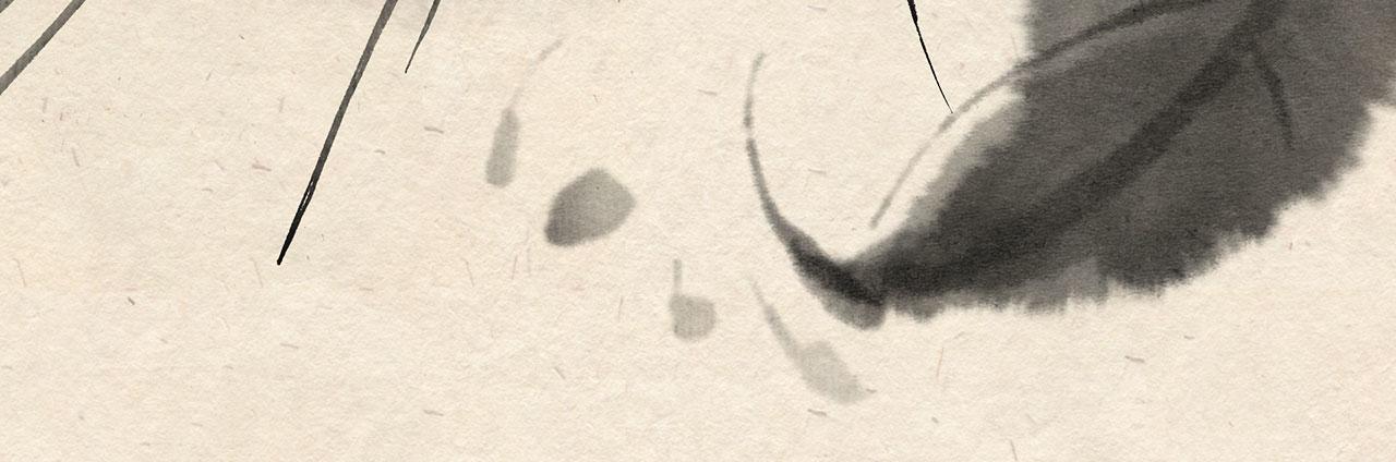 第十三话 山洞疑云（下）-第14话