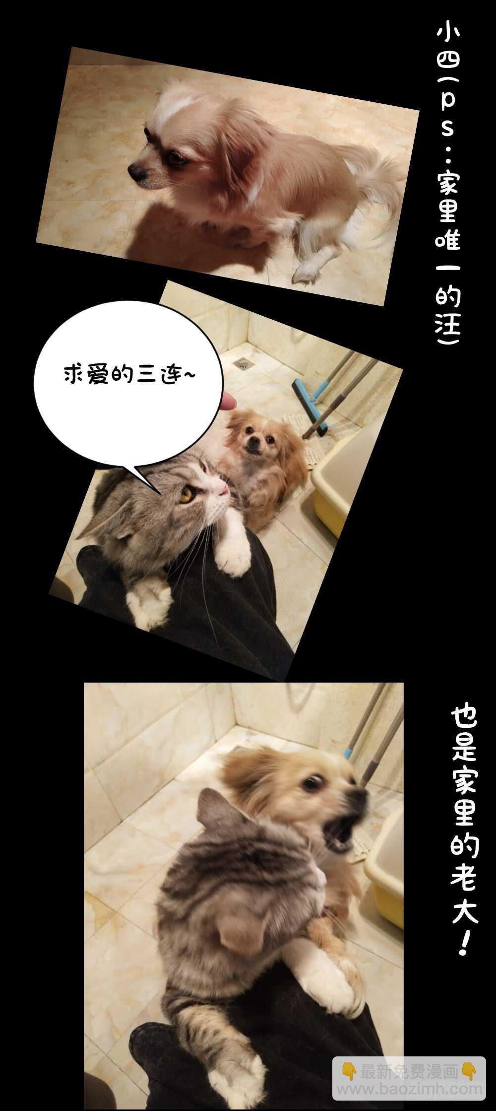 第59话：擂台赛！-第62话