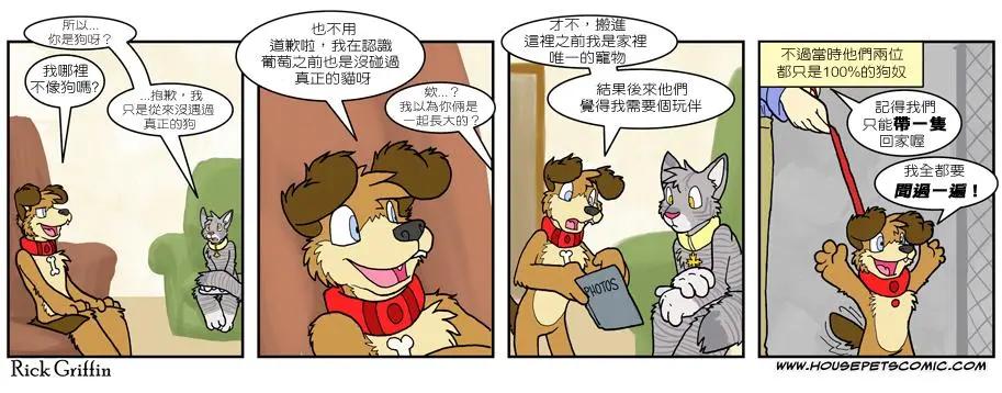 Housepets! - 第501話 - 1