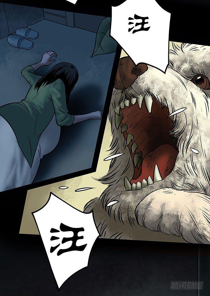 邻居-下(1/3)-第26话