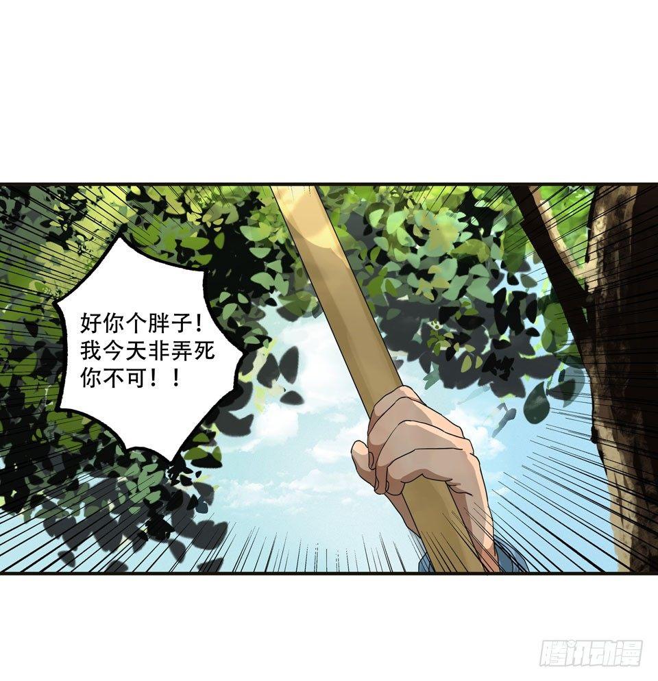 龟-中(1/2)-第30话