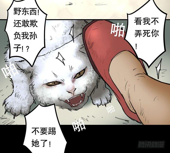 猫-2(1/2)-第42话