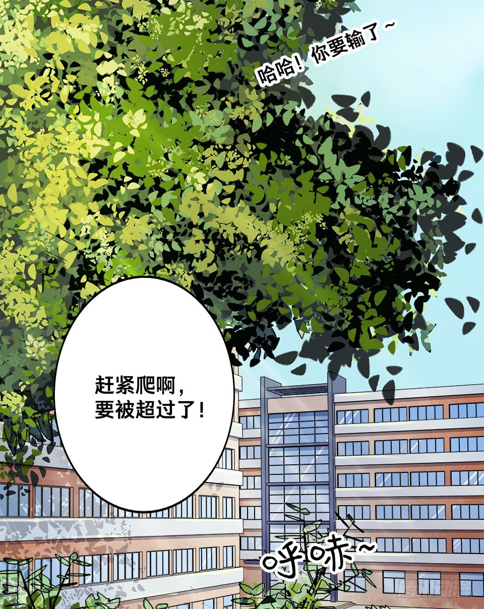 龟-上(1/2)-第28话