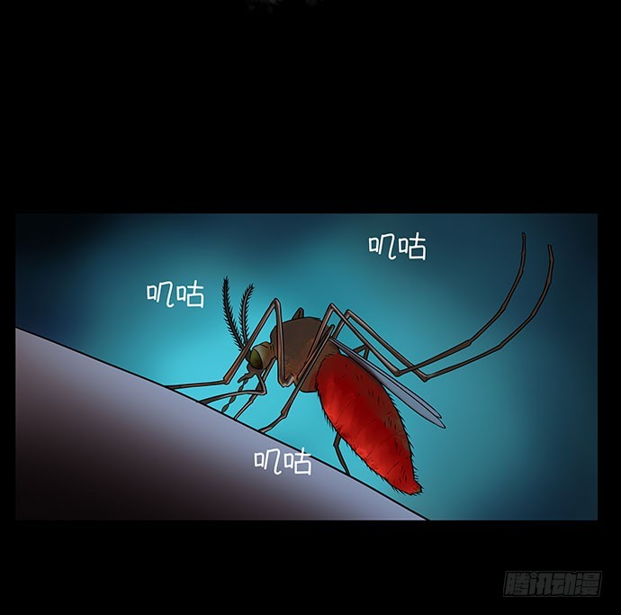 假发-下(1/2)-第34话