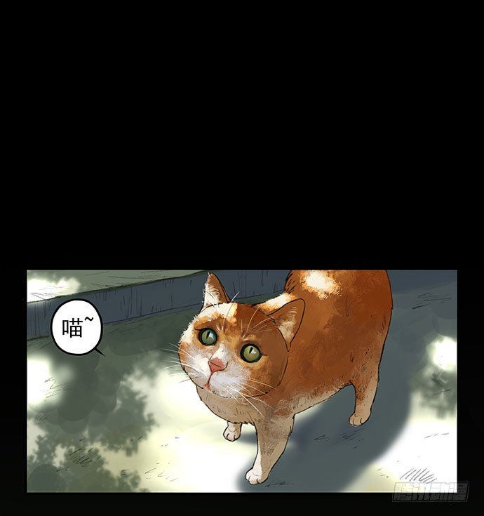 猫-1(1/2)-第40话