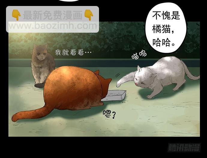 猫-1(1/2)-第40话