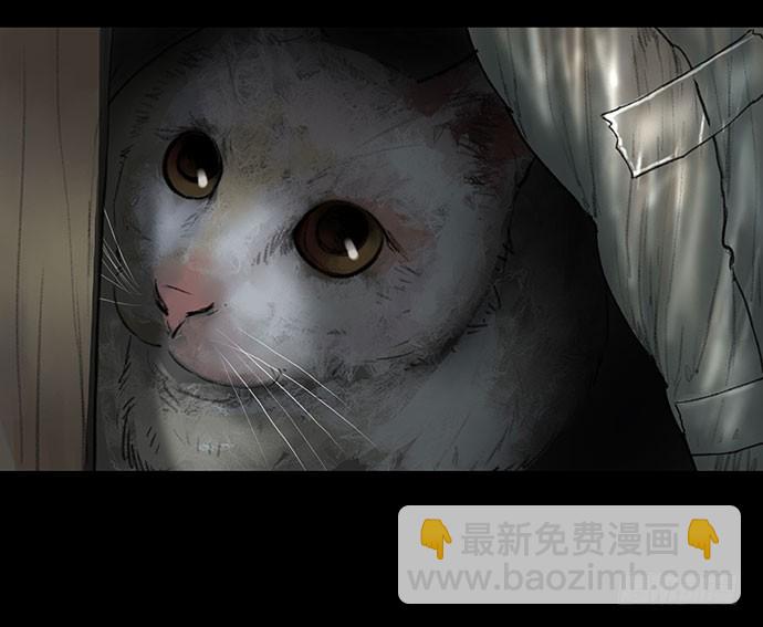 猫-1(1/2)-第40话