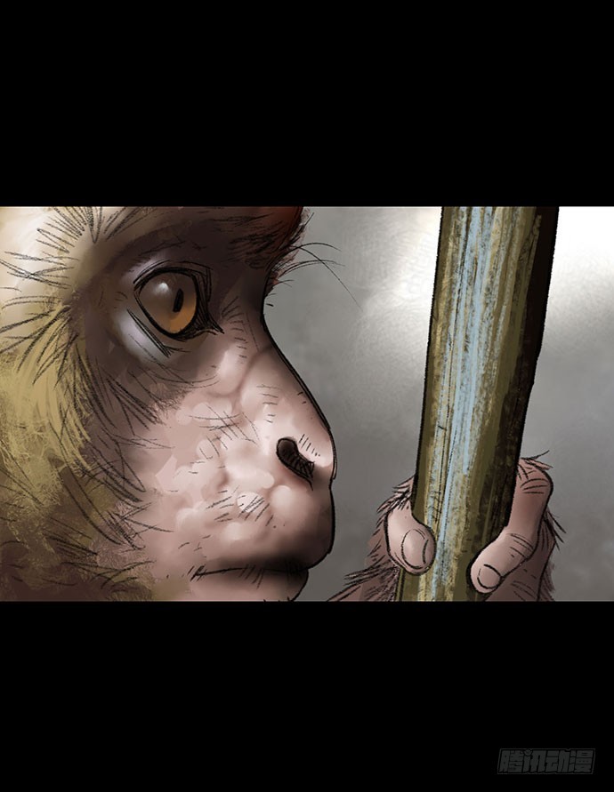 猴戏-1(1/3)-第8话