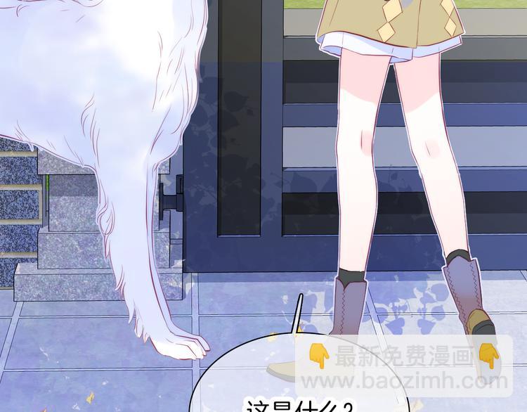 花和刺蝟逃跑了 - 第24話 爸爸的信(1/3) - 5