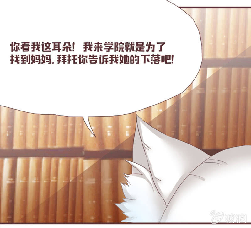 花灵大会到底是？-第30话