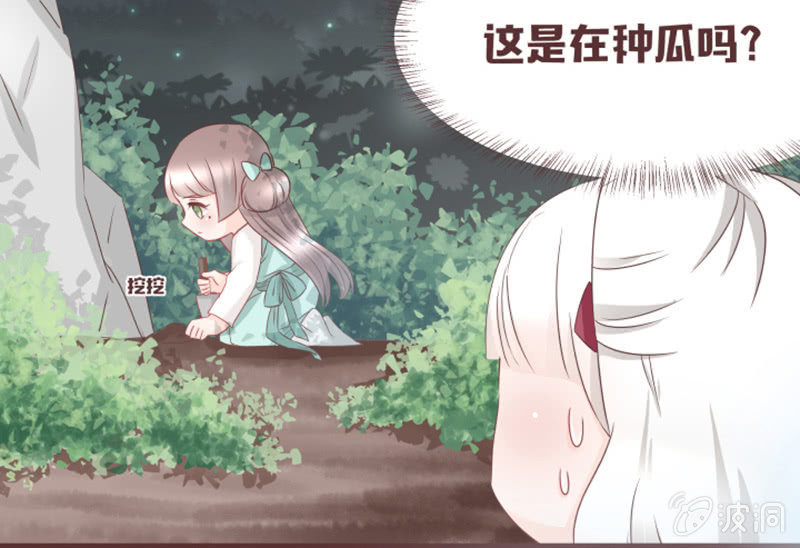 小狐狸有危险了！-第32话