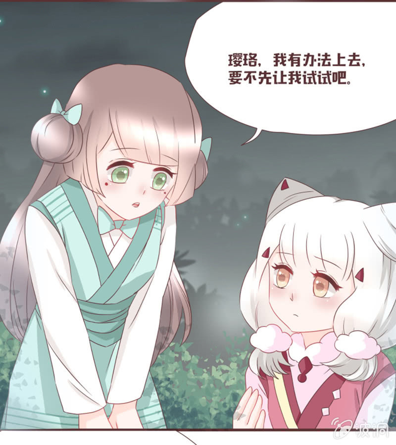 小狐狸有危险了！-第32话