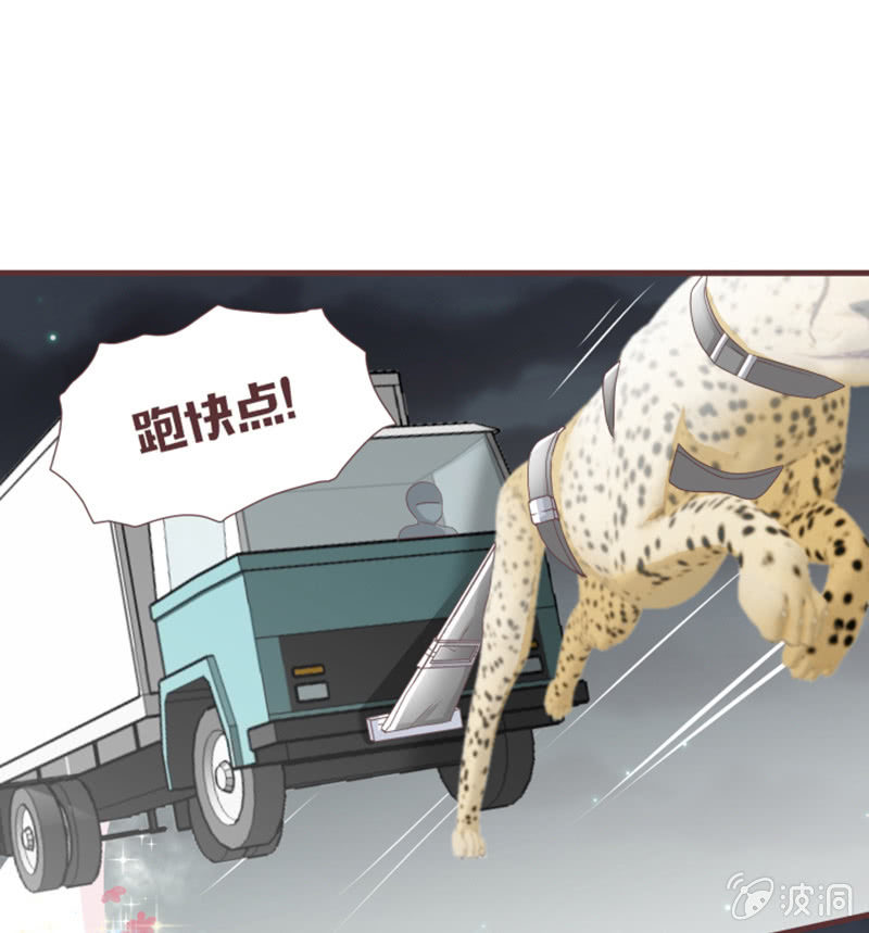 咦？你怎么来了！-第36话