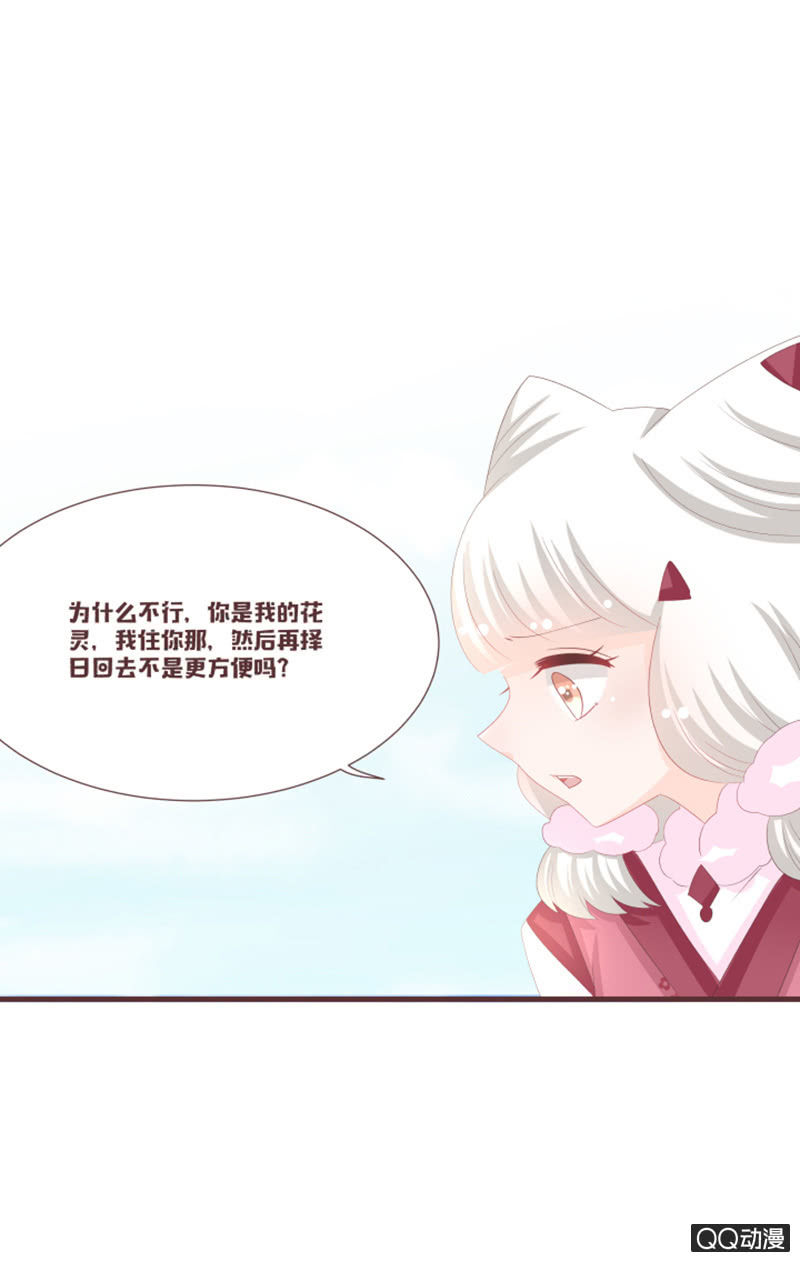 准备：花灵大会！-第56话