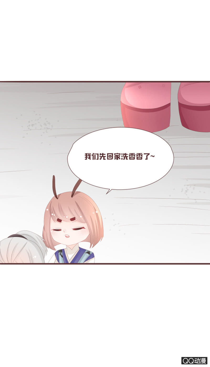 准备：花灵大会！-第56话