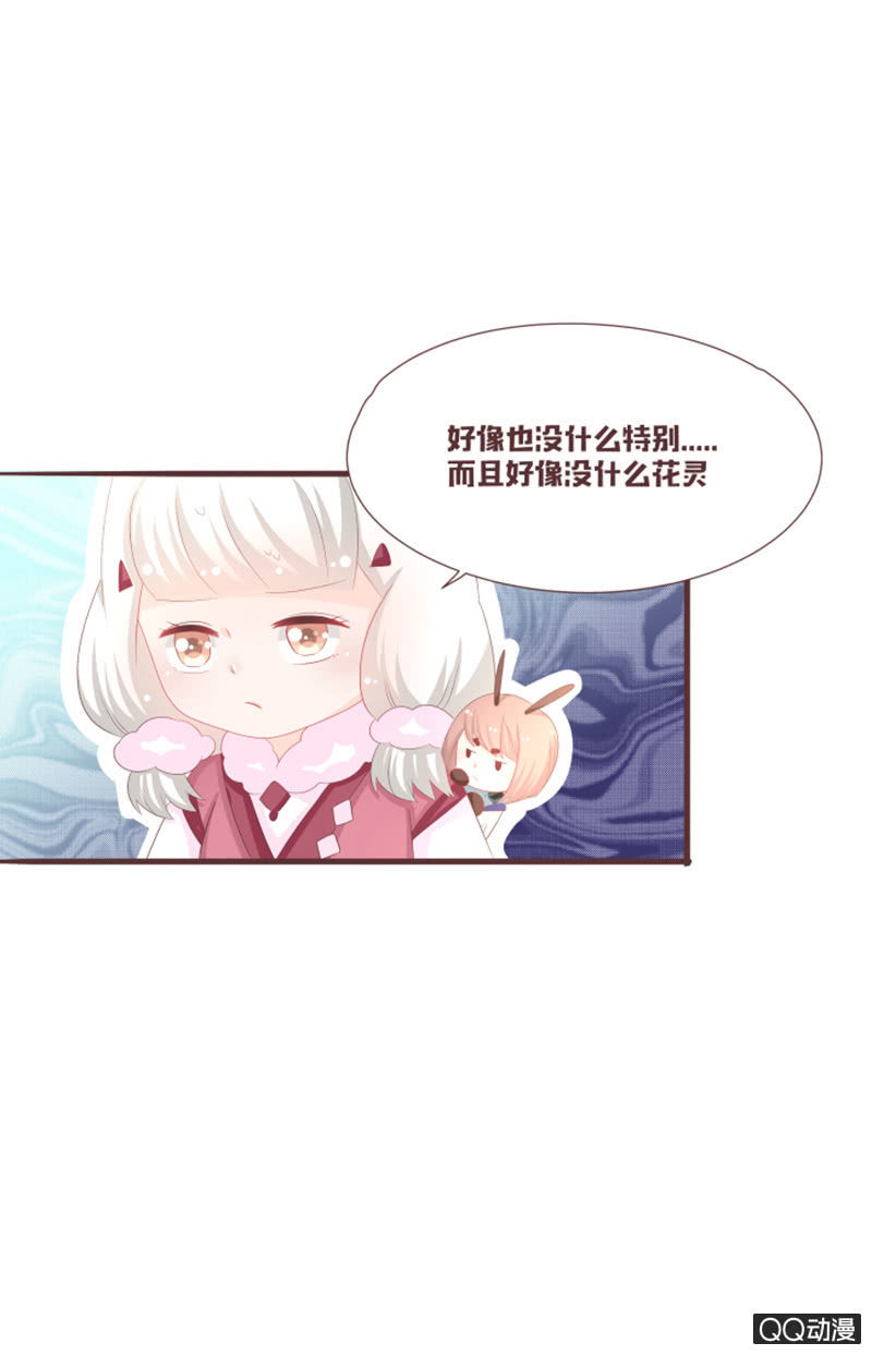 准备：花灵大会！-第56话