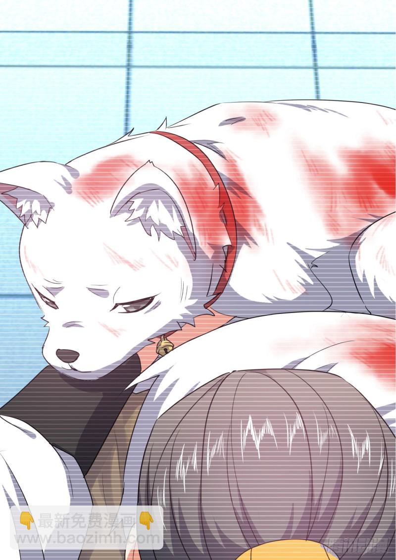 化龍記 - 第148章.往日結緣（二） - 2