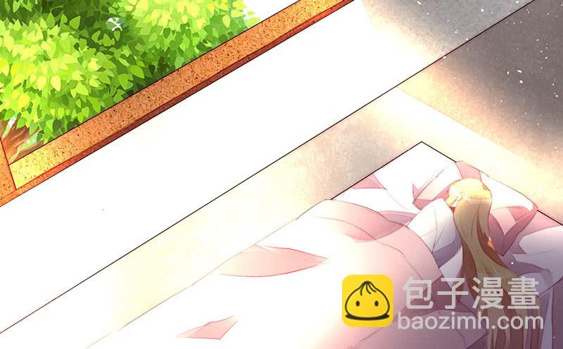 花落一夢 - 該死的老狐狸(2/2) - 5