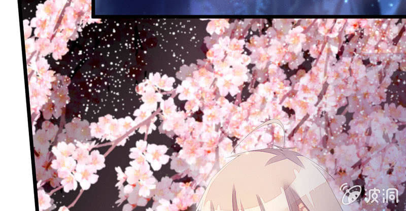 花落一夢 - 有話對你說(1/2) - 5