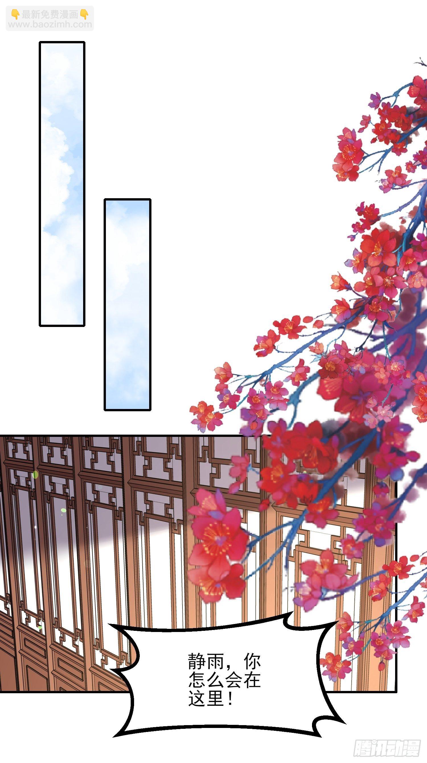 宦妃天下（太監王爺強娶我） - 第124話 少王妃殺人了！ - 6