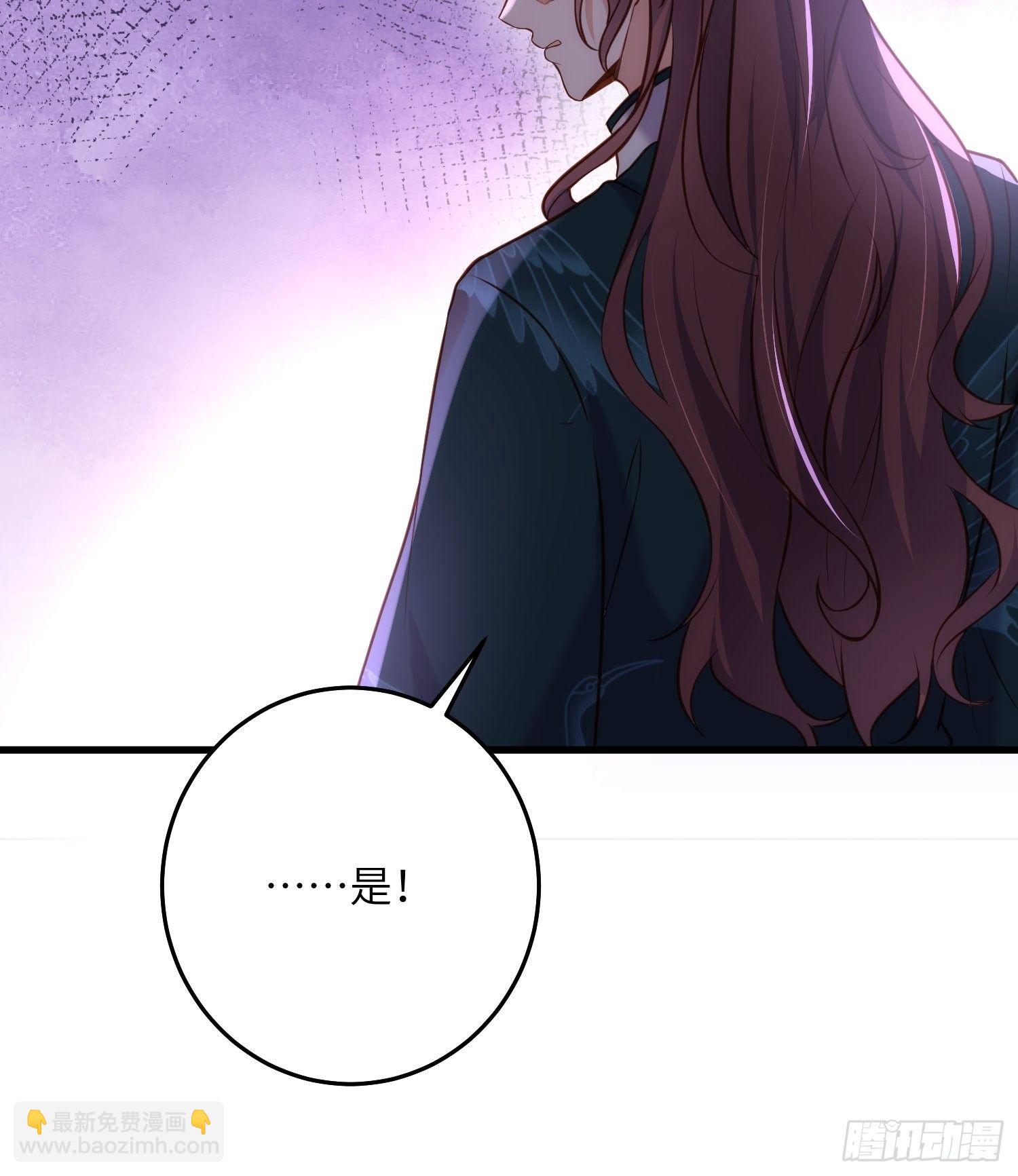 宦妃天下（太監王爺強娶我） - 第226話 陸相的陰謀 - 1