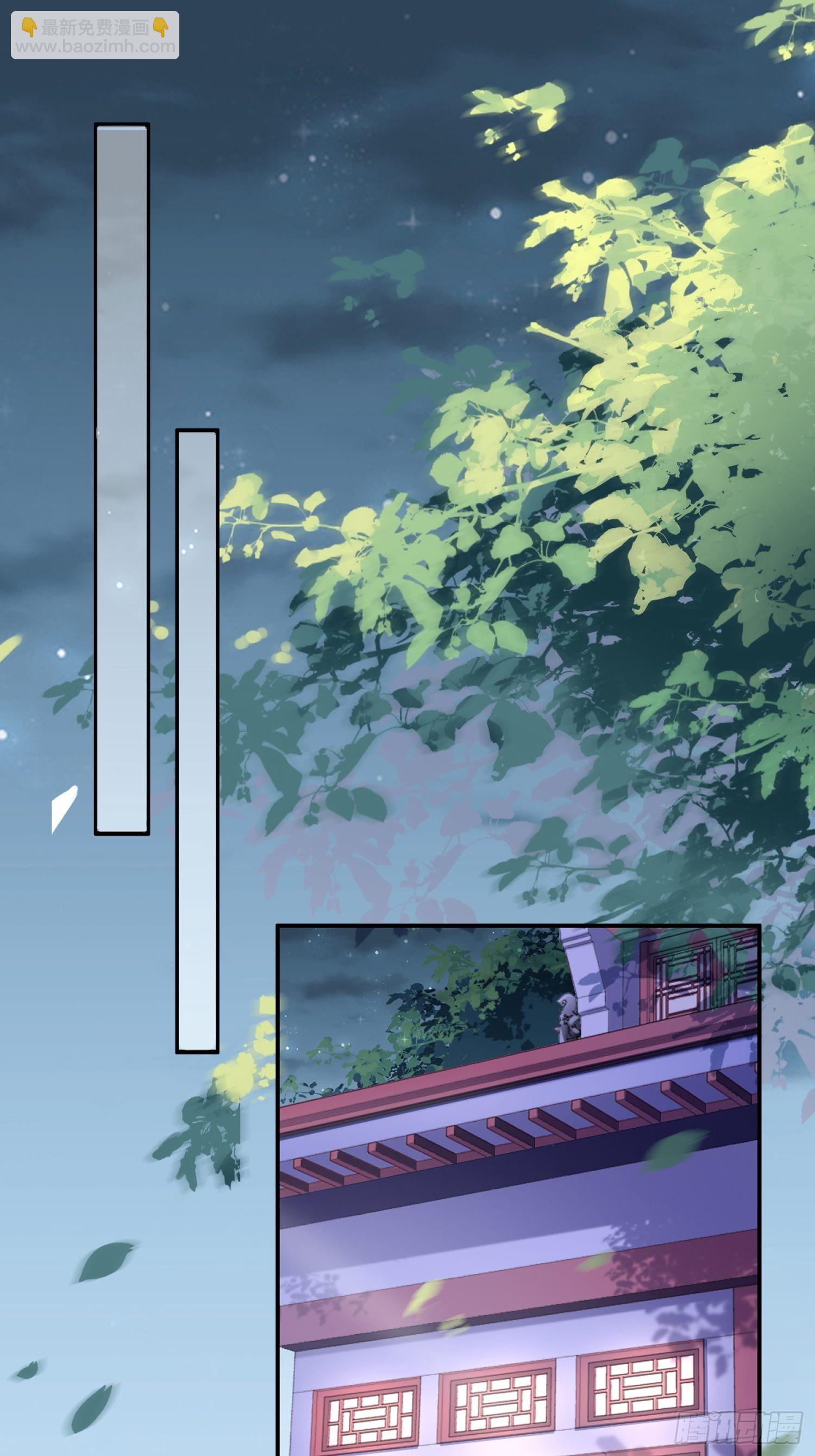 宦妃天下（太監王爺強娶我） - 第274話 大哥的注視 - 1