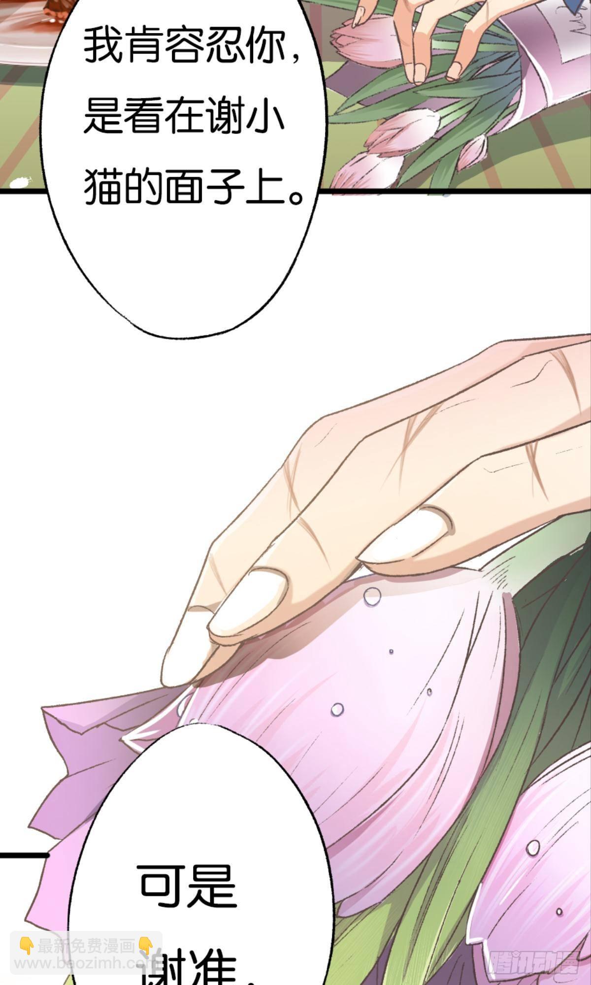 荒誕費洛蒙 - 可是謝準你已經不是謝小貓了(1/2) - 2