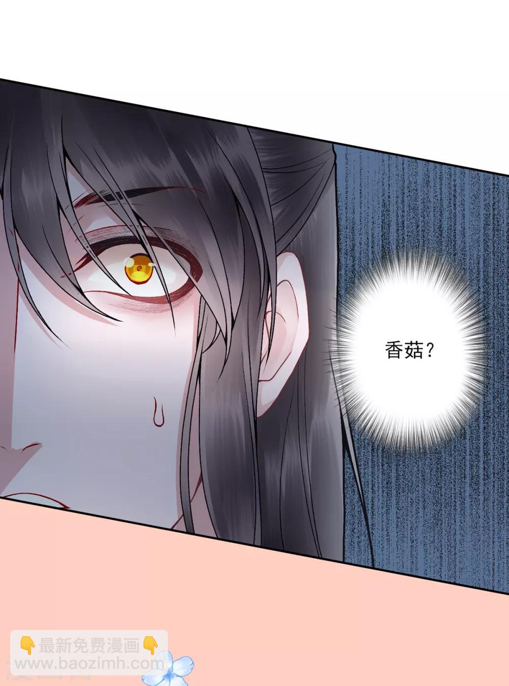 凰妃九千歲 - 第83話 葉家謀反的真相 - 2