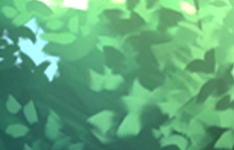 第14话 我是不会改变主意的(1/4)-第14话