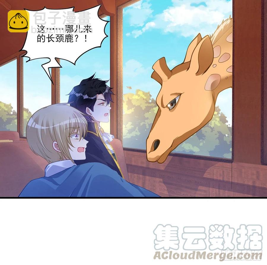 77话 壕无人性的安琪拉(1/2)-第78话