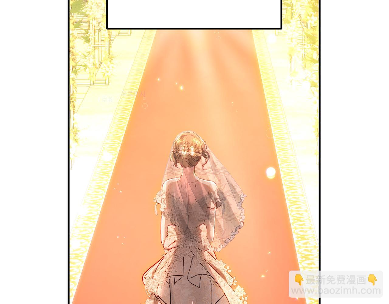 第74话 隆重的婚礼(1/5)-第74话