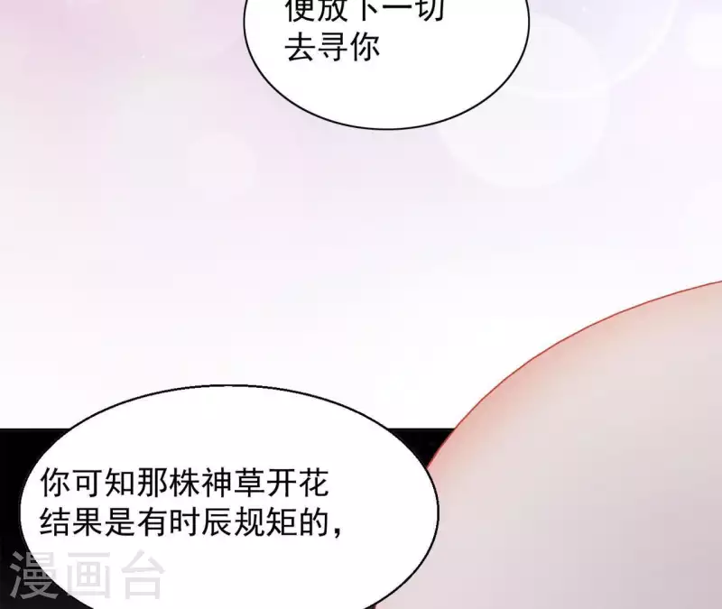 凰女攻略 - 第38話 暖意(1/2) - 5