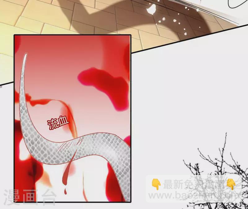 第48话 白衣少年(1/2)-第48话