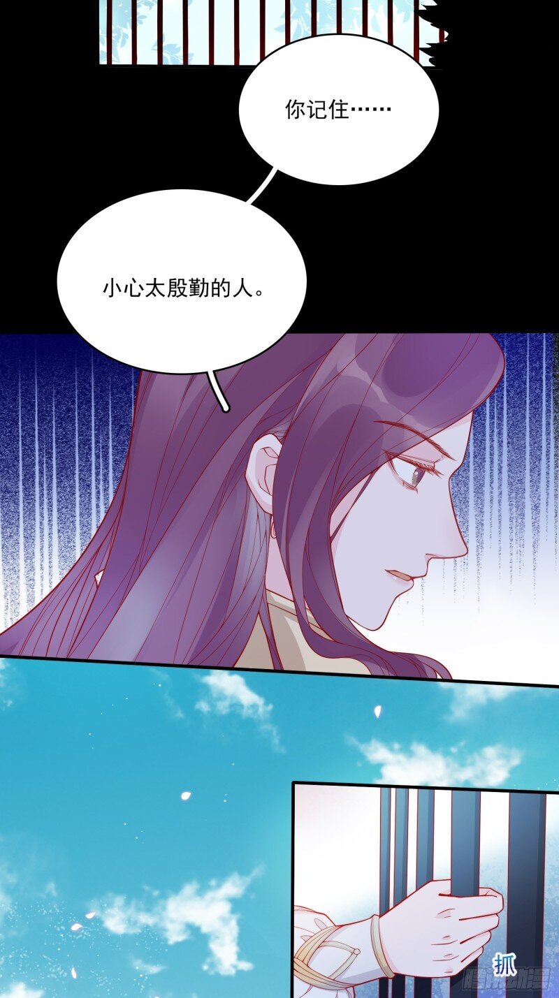 28 第二十六话 团宠的小苦恼-第28话