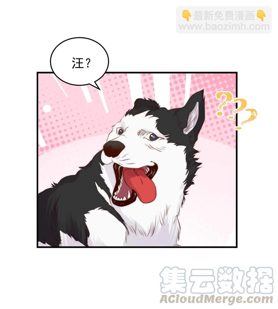 皇上別鬧 - 037 召見 - 7