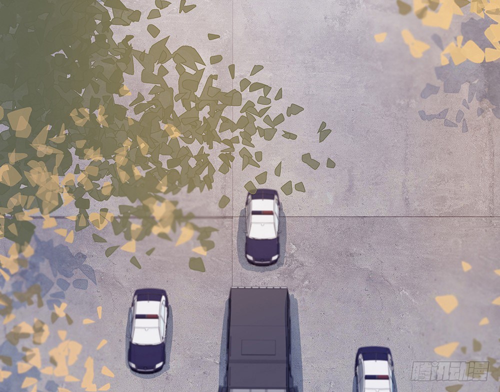 出动(1/2)-第22话