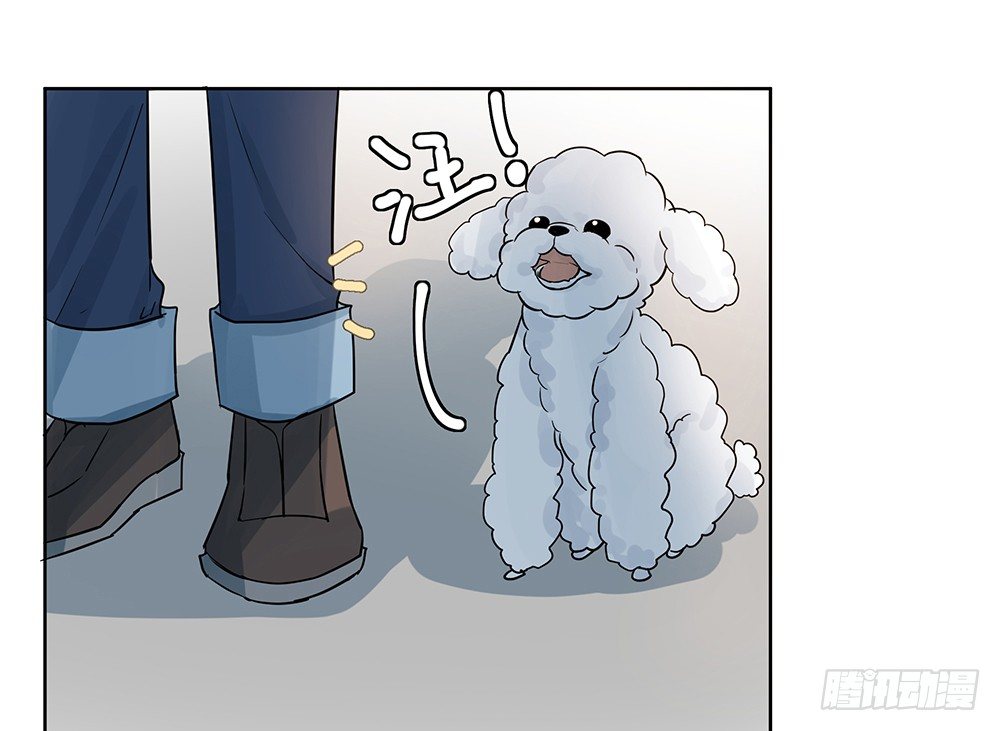 指定联络员(1/2)-第32话