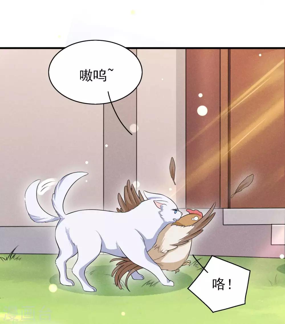 第47话 又不按套路出牌-第48话