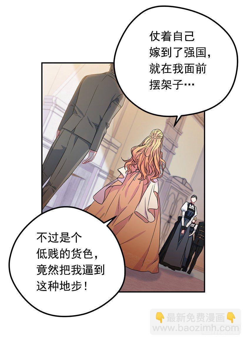 公主的阴谋(1/2)-第36话