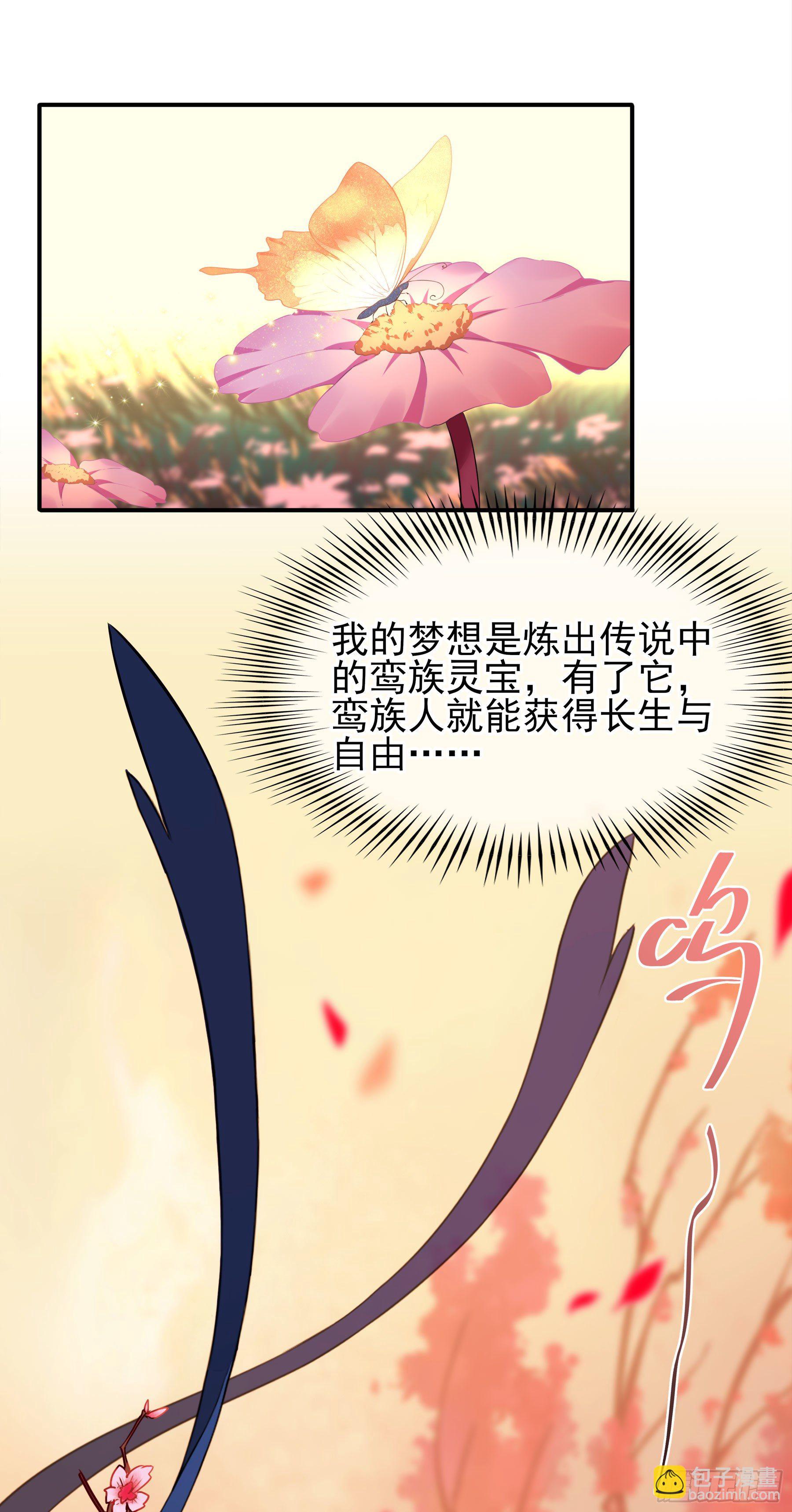 凤鸾篇&middot;03话鸾离人群去（上）(1/2)-第4话