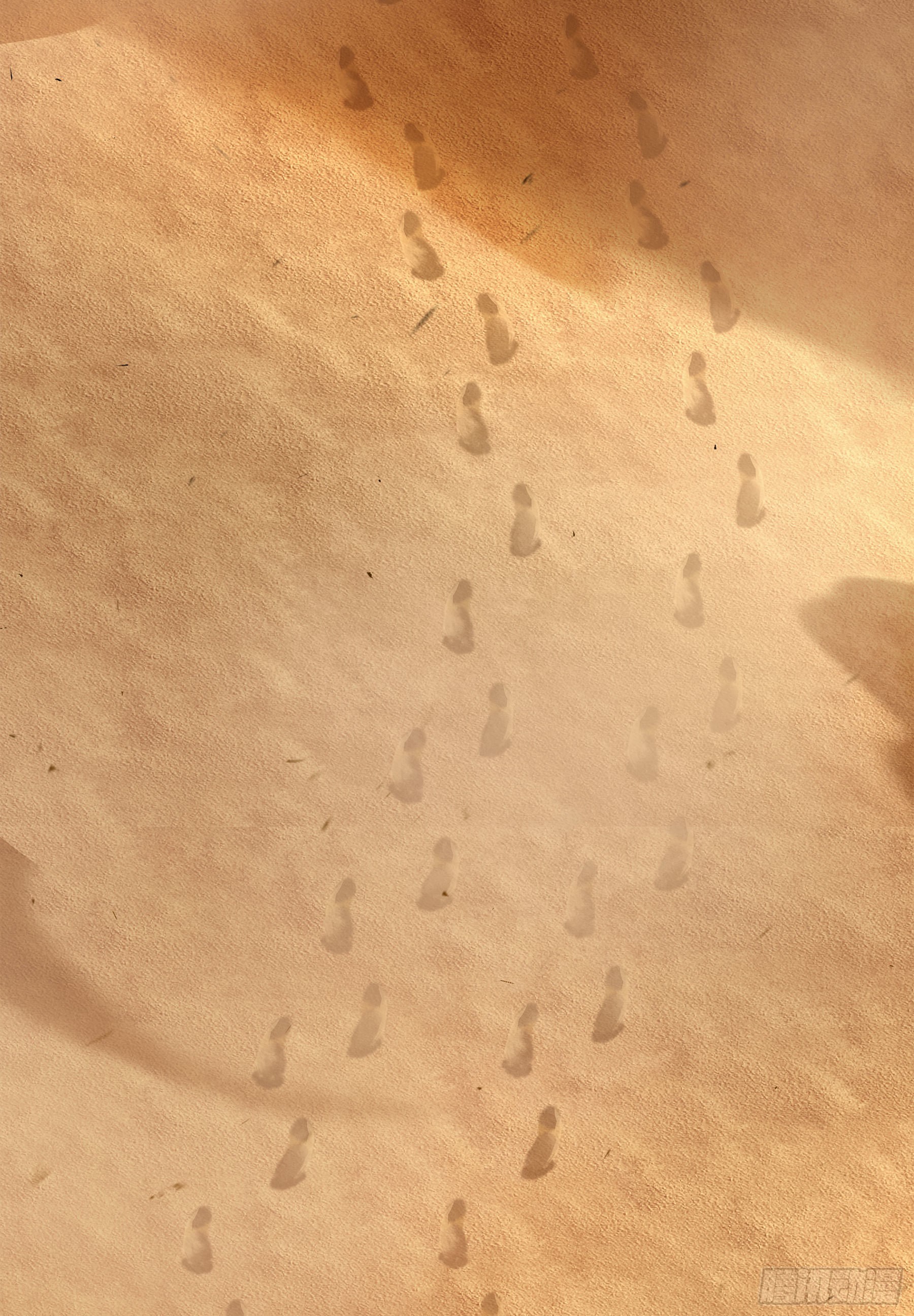 幻梦山海谣·番外 - 翙羽篇·11话 幻境之鸟(1/2) - 6