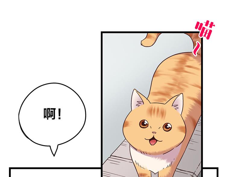 第1话：这个女孩不简单(1/5)-第2话