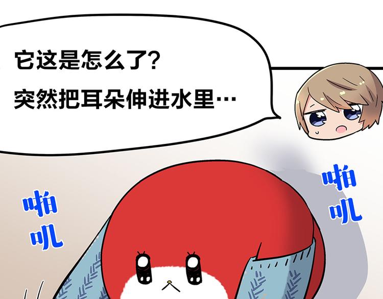 四格3 和啾啾一起玩耍-第14话