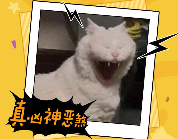 四格4 价值观-第16话