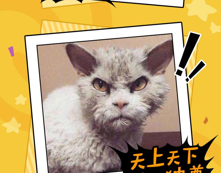 四格4 价值观-第16话