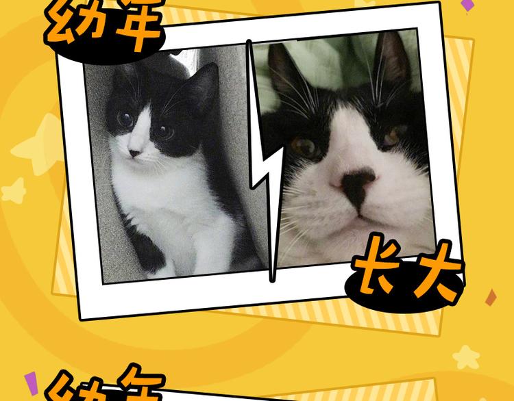 四格7 是不是傻-第22话