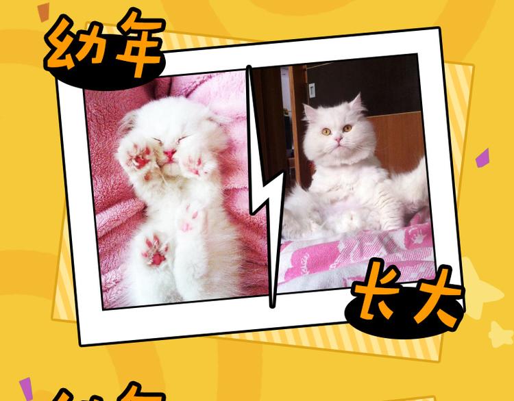 四格7 是不是傻-第22话