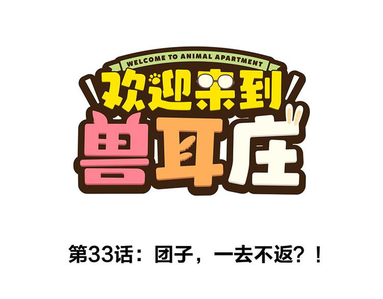 第33话 团子一去不返？！(1/3)-第54话